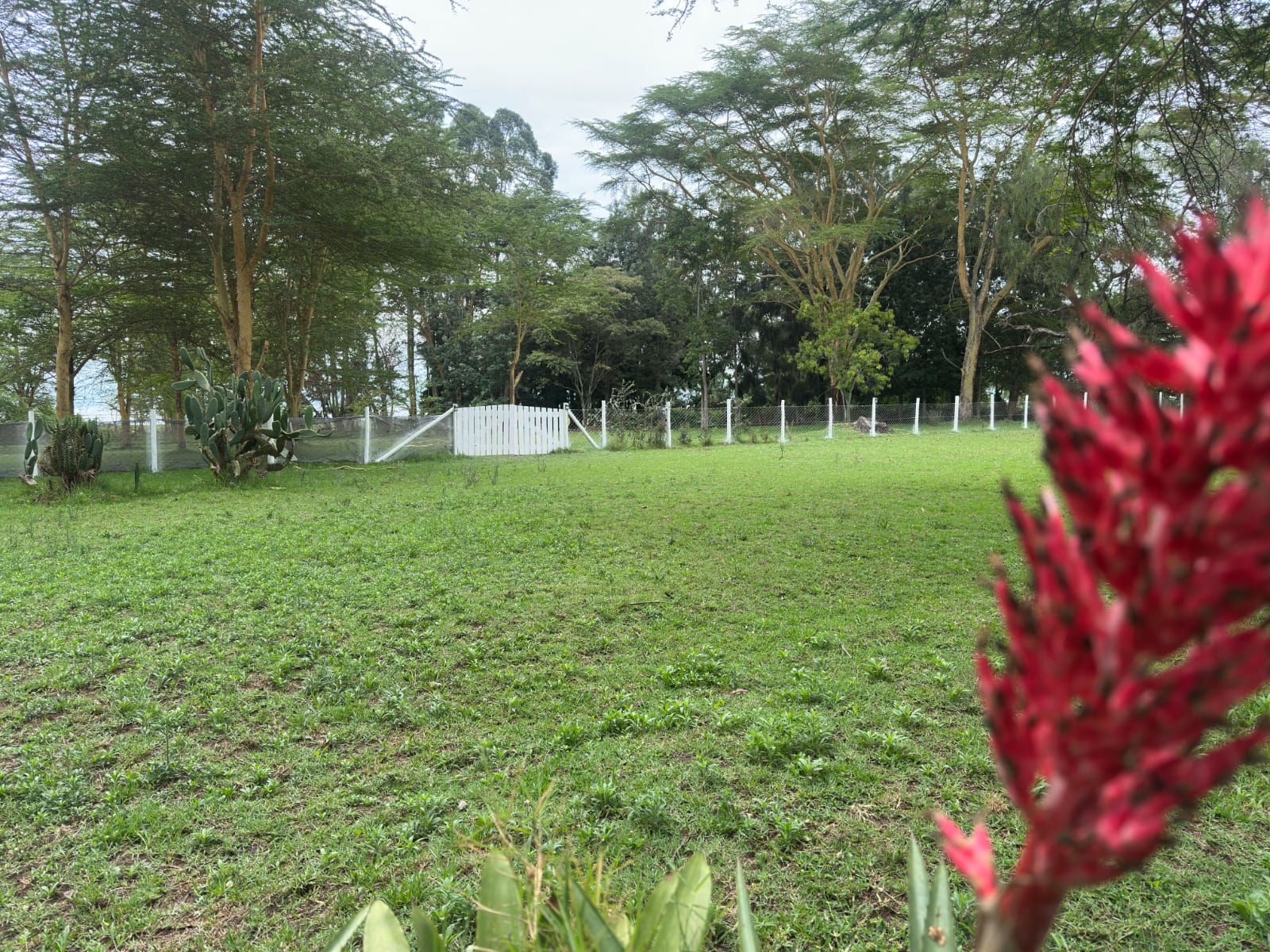 Qpembeni cottages about